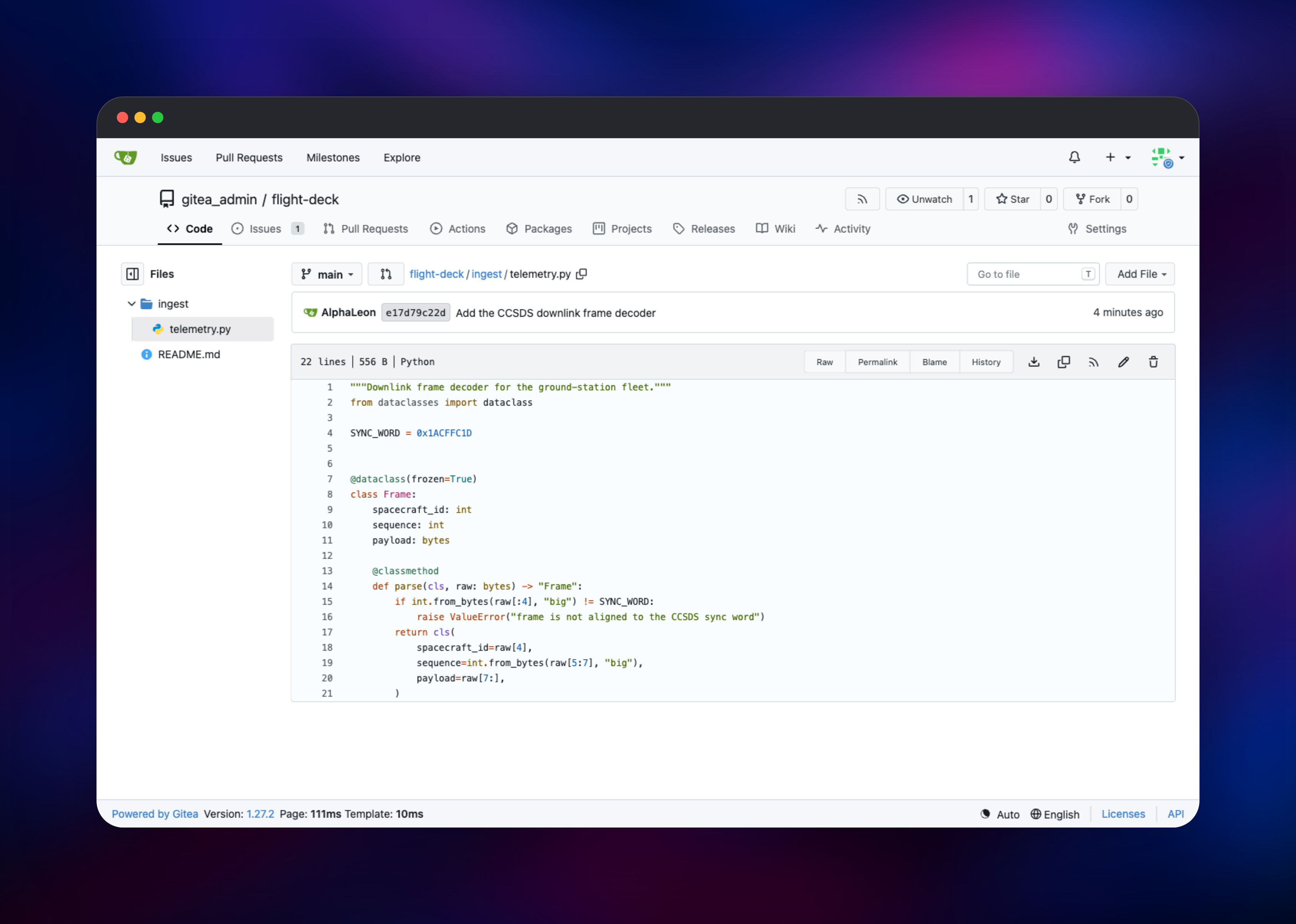 Gitea file browser showing syntax-highlighted Python source