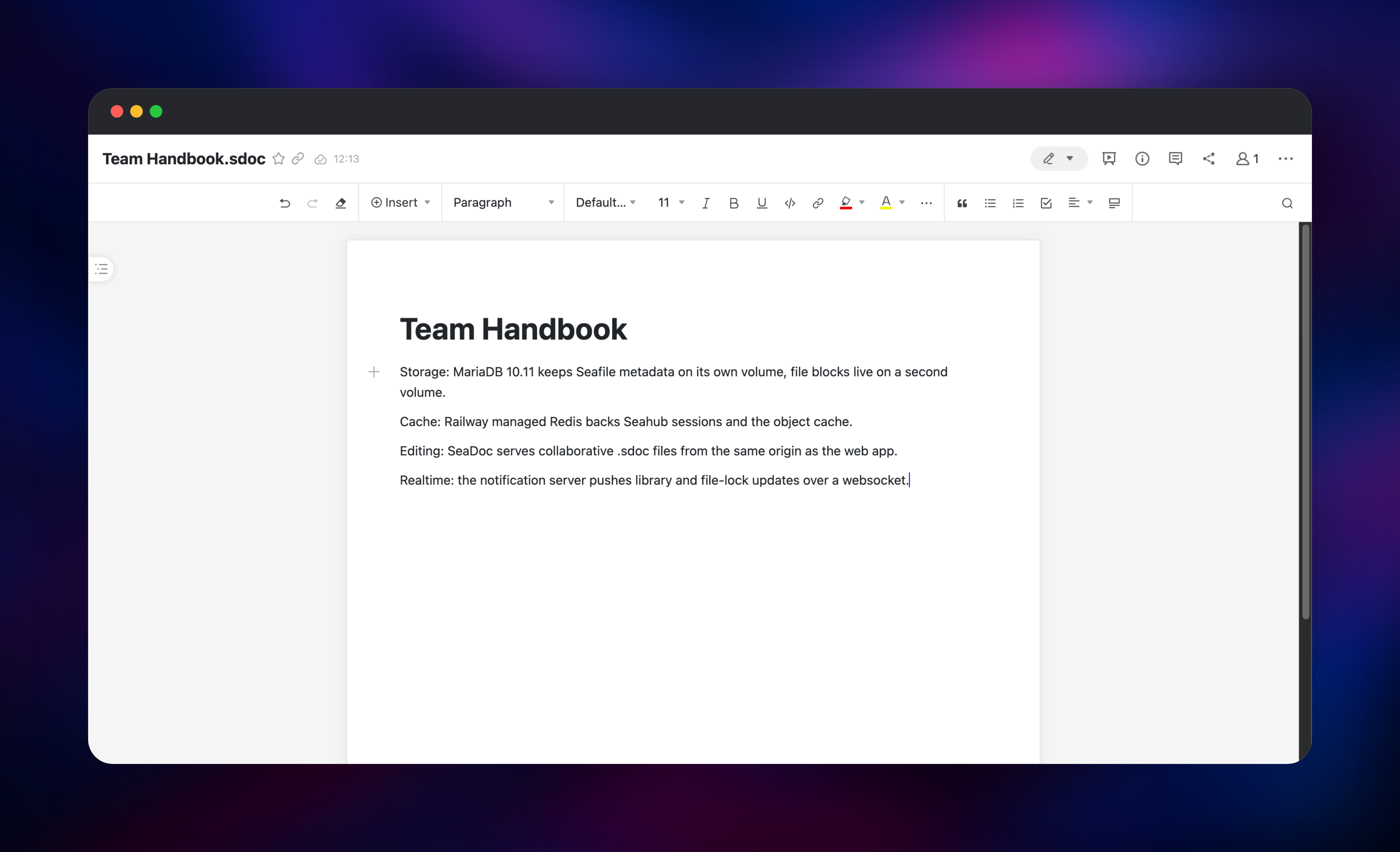 Seafile SeaDoc editor with a formatted team handbook open