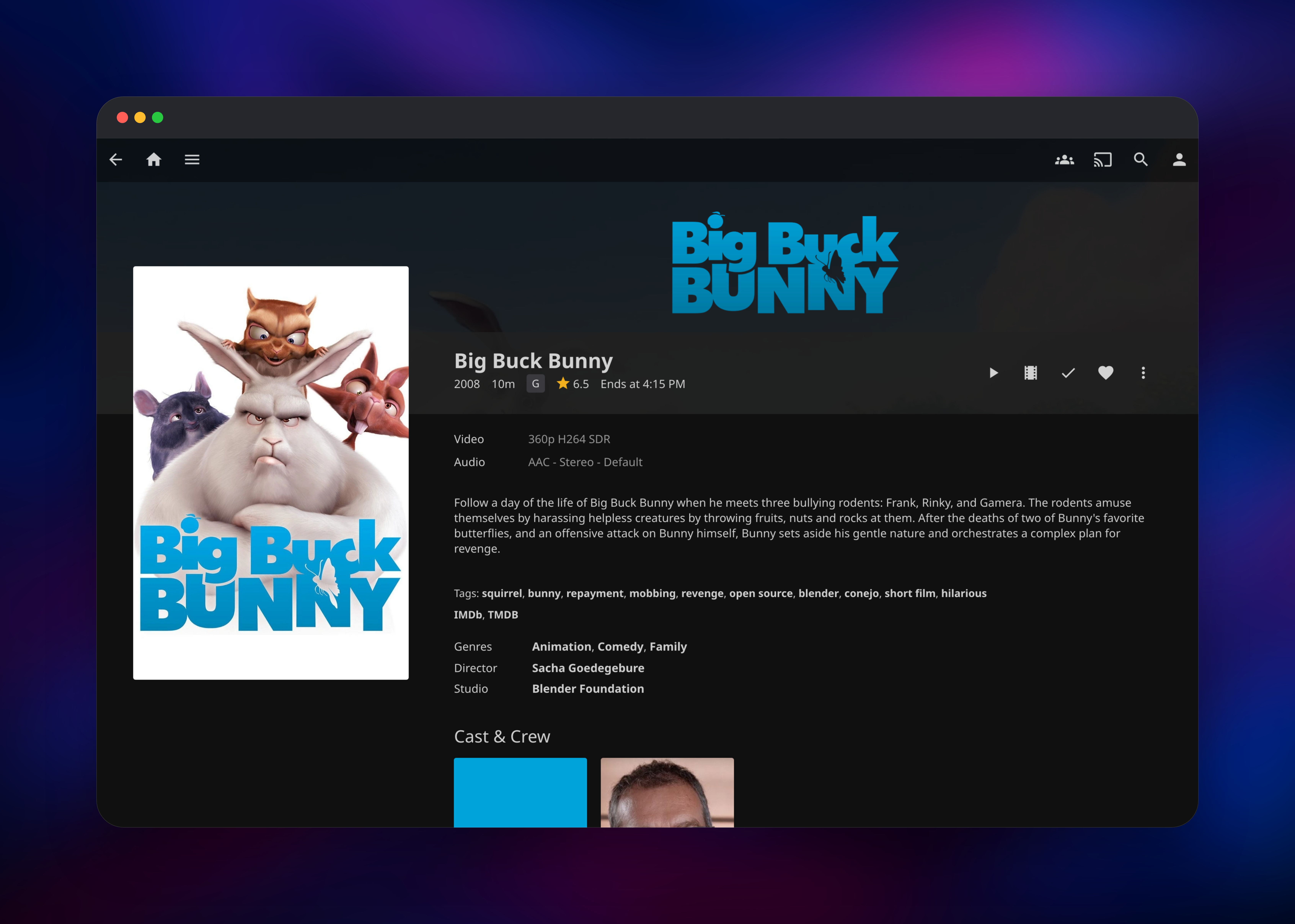 Jellyfin movie page showing poster, cast and TMDb metadata