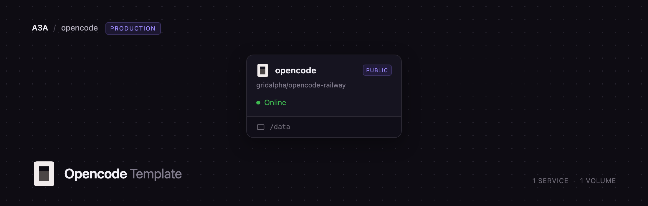 Diagram of the single opencode service and its data volume