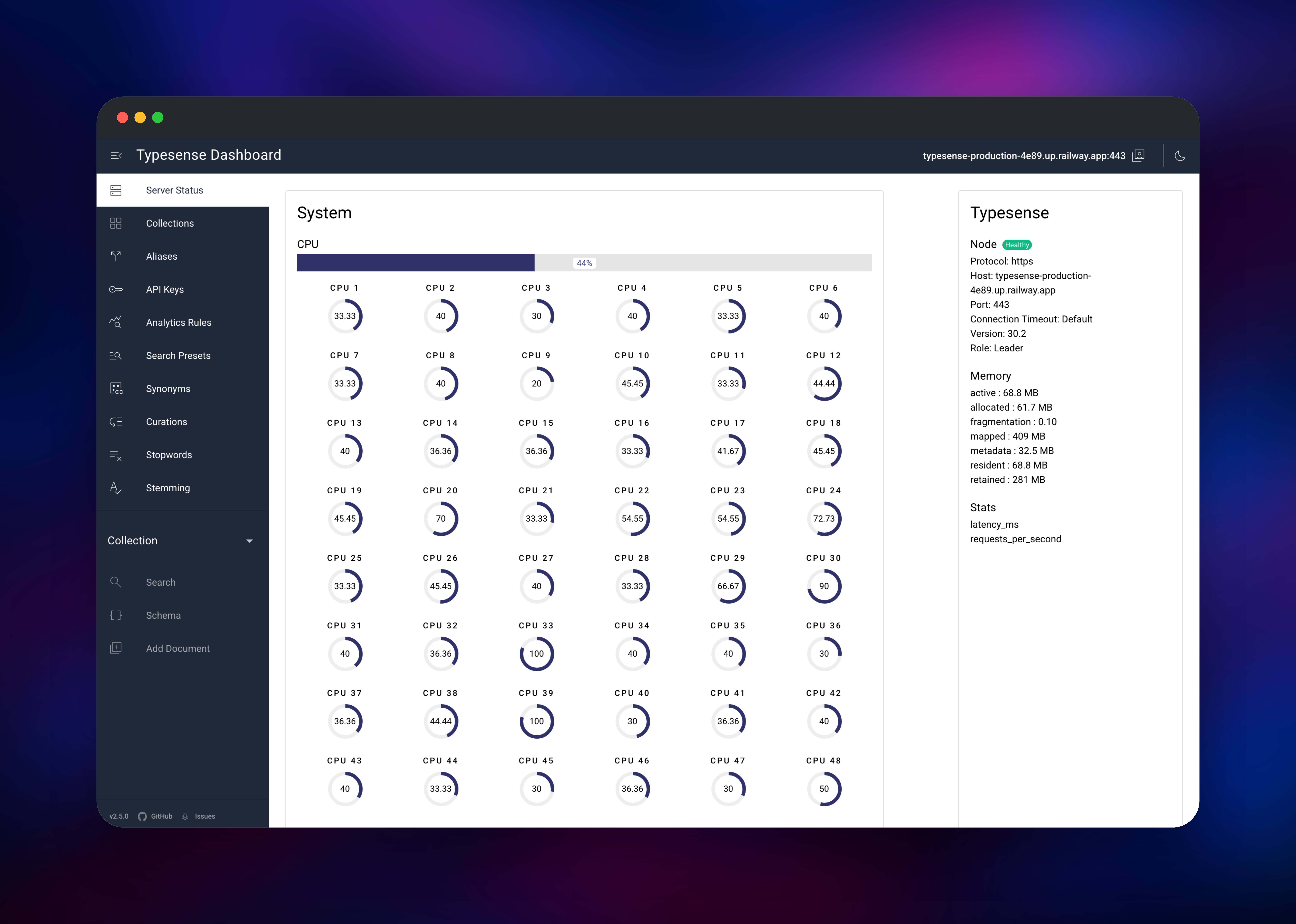 Typesense server status showing a healthy leader node