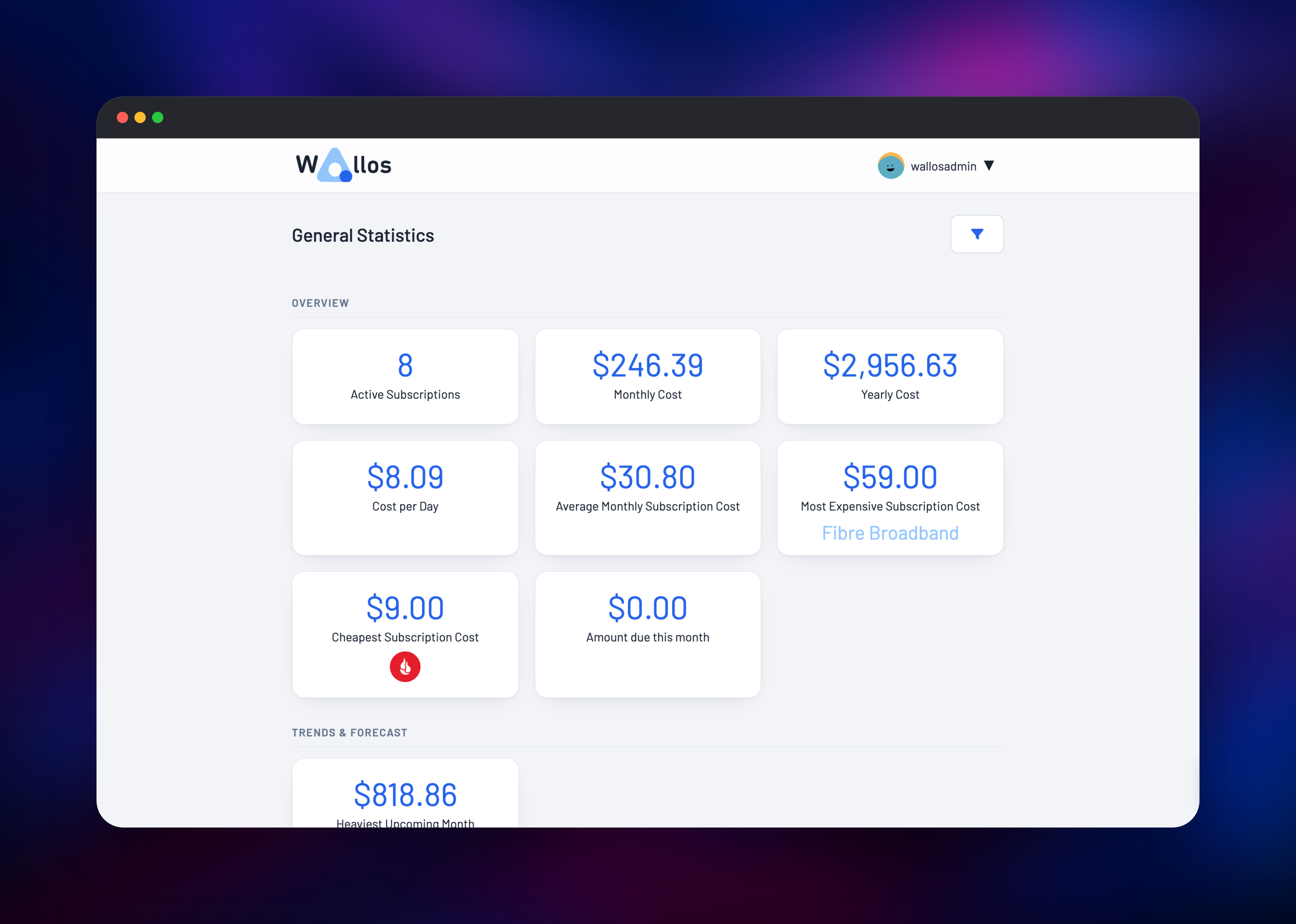 Wallos statistics page with cost per day and yearly totals