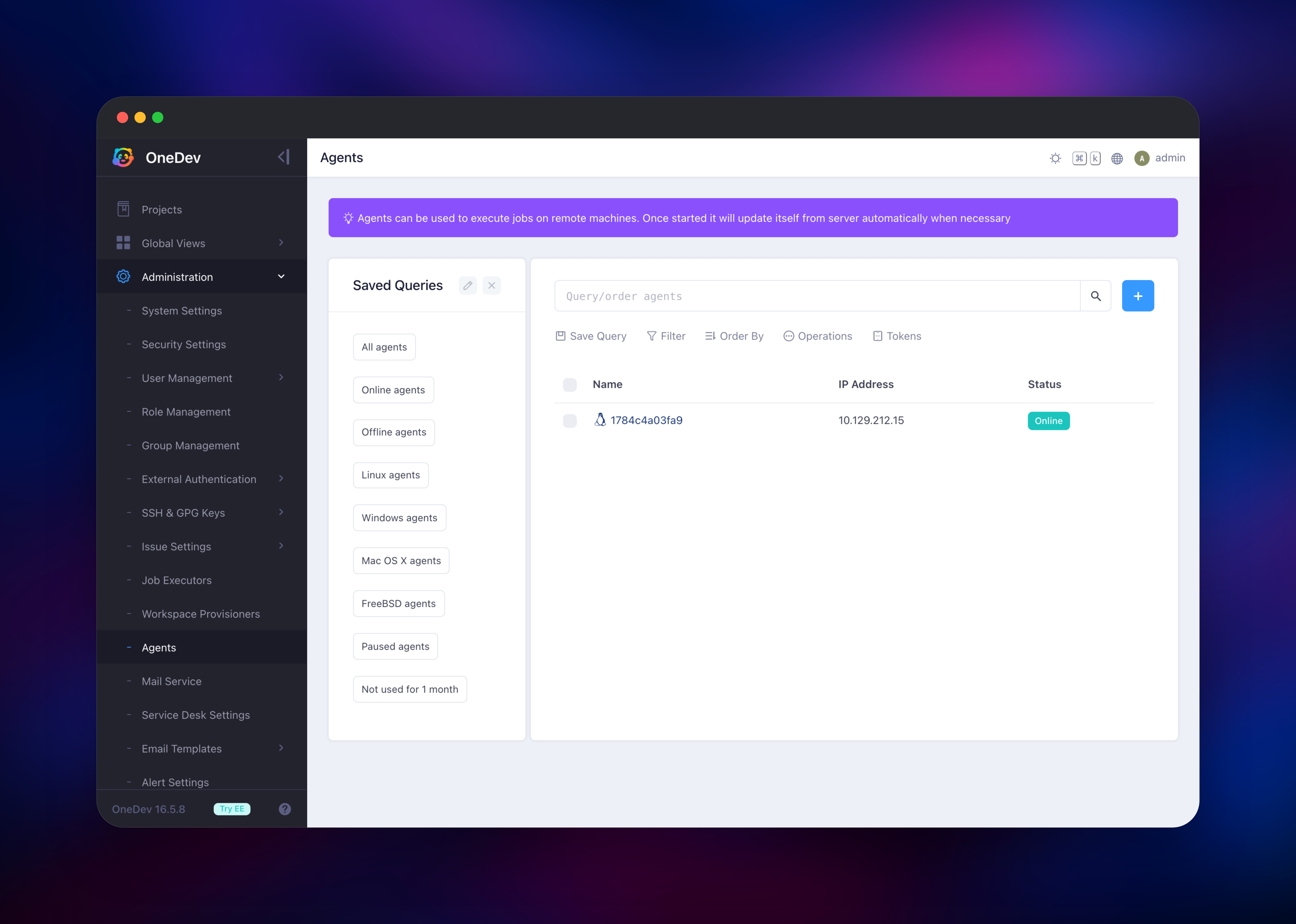 OneDev admin page listing a connected online CI agent