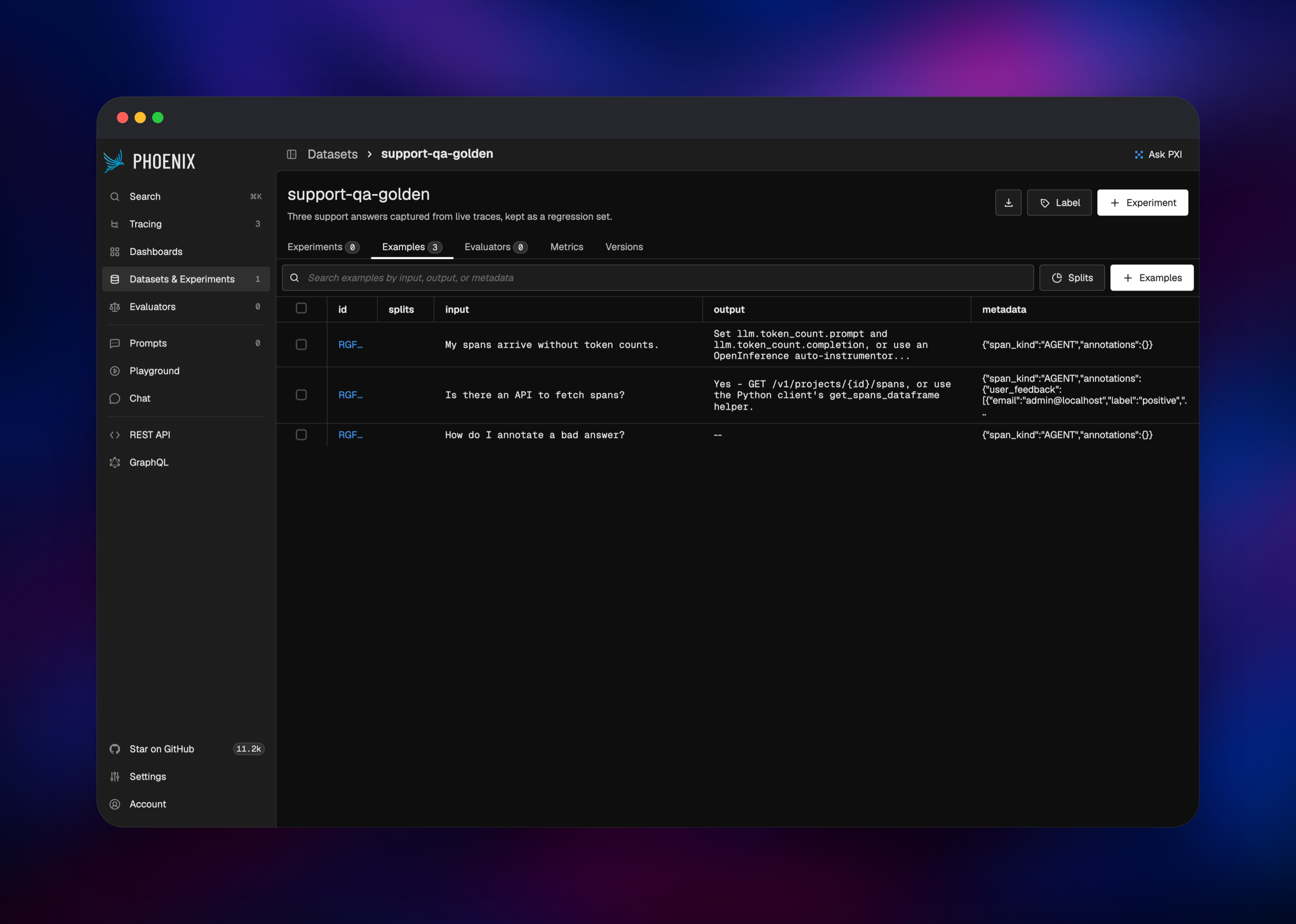 Phoenix dataset examples captured from live support traces