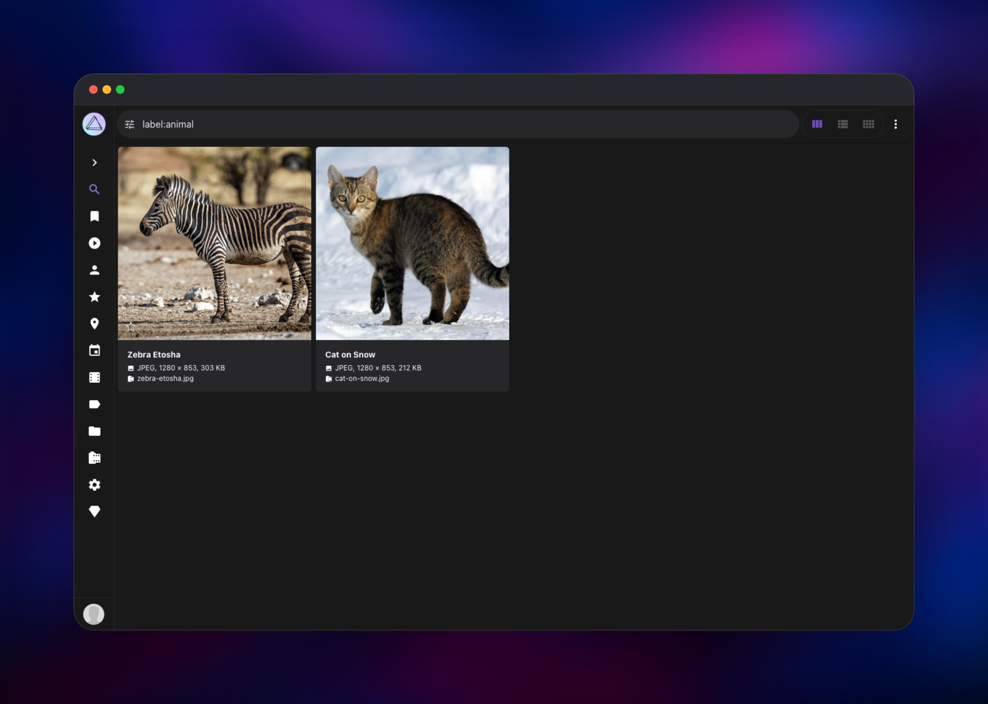 PhotoPrism search results for the label animal
