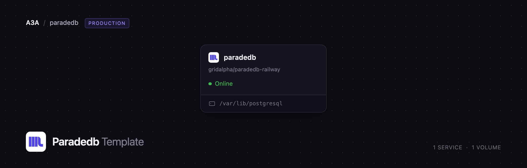 The ParadeDB service online with its Postgres data volume