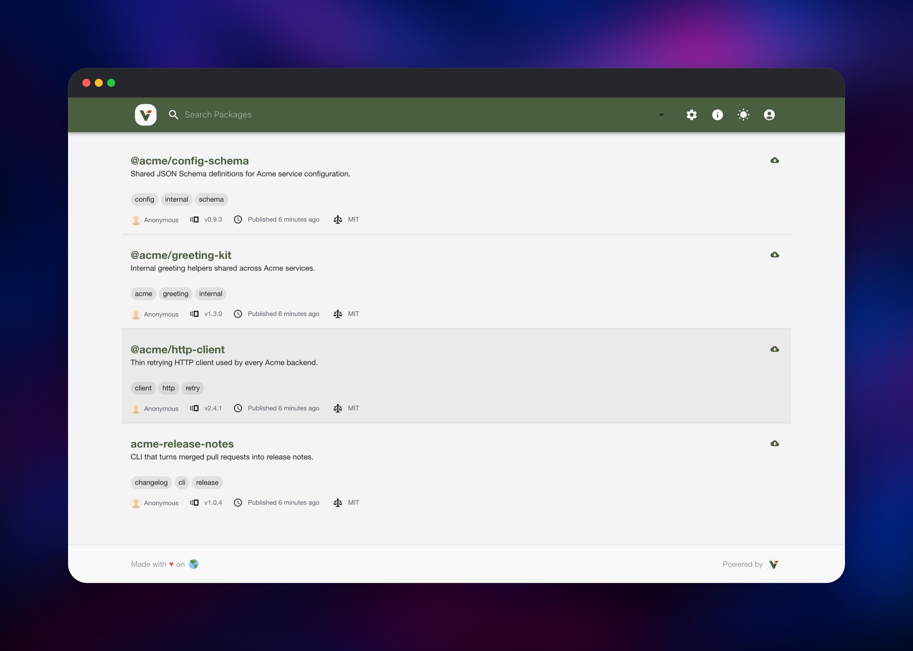 Verdaccio listing four private packages with versions and licences