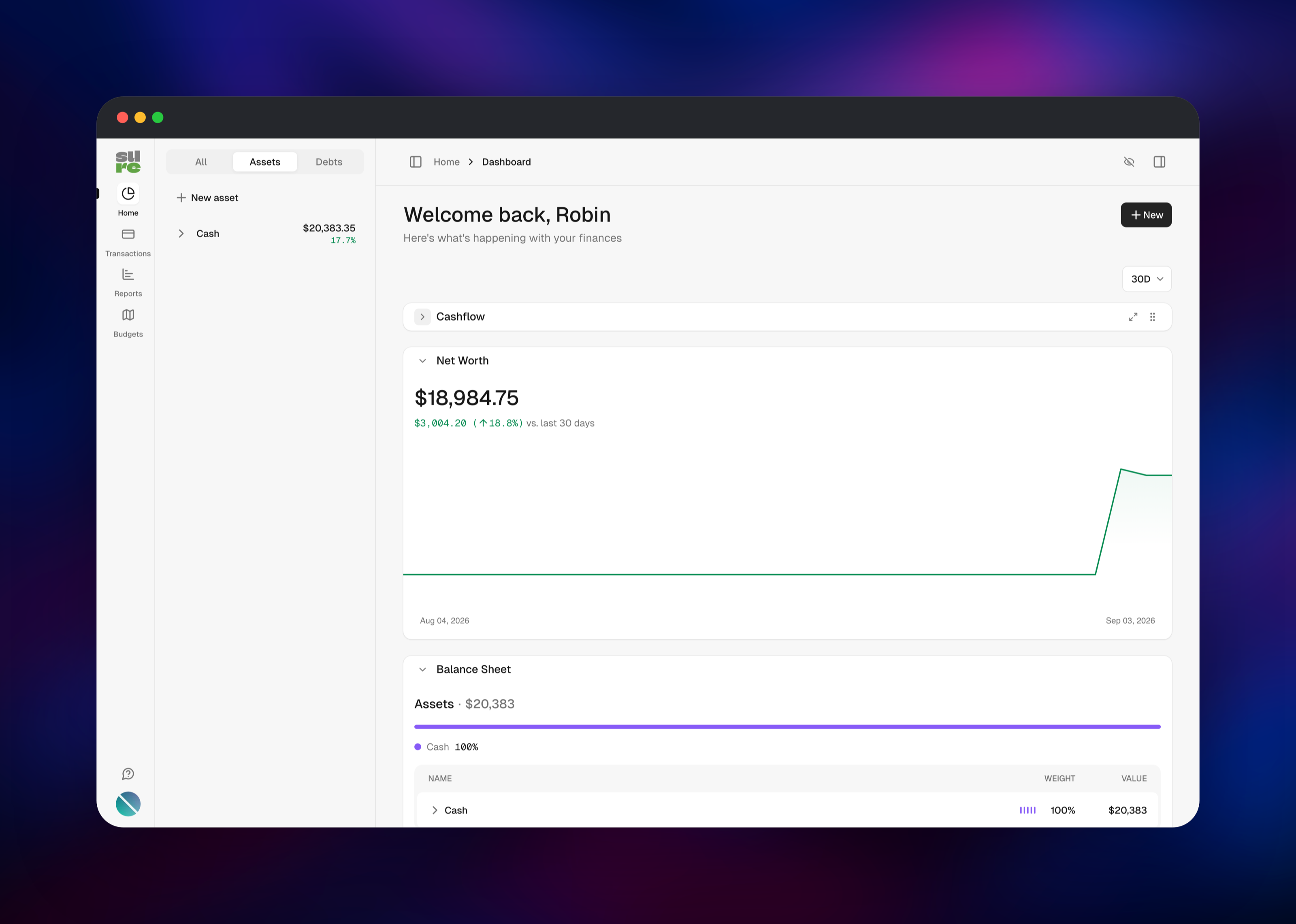 Sure dashboard showing net worth and a balance sheet breakdown