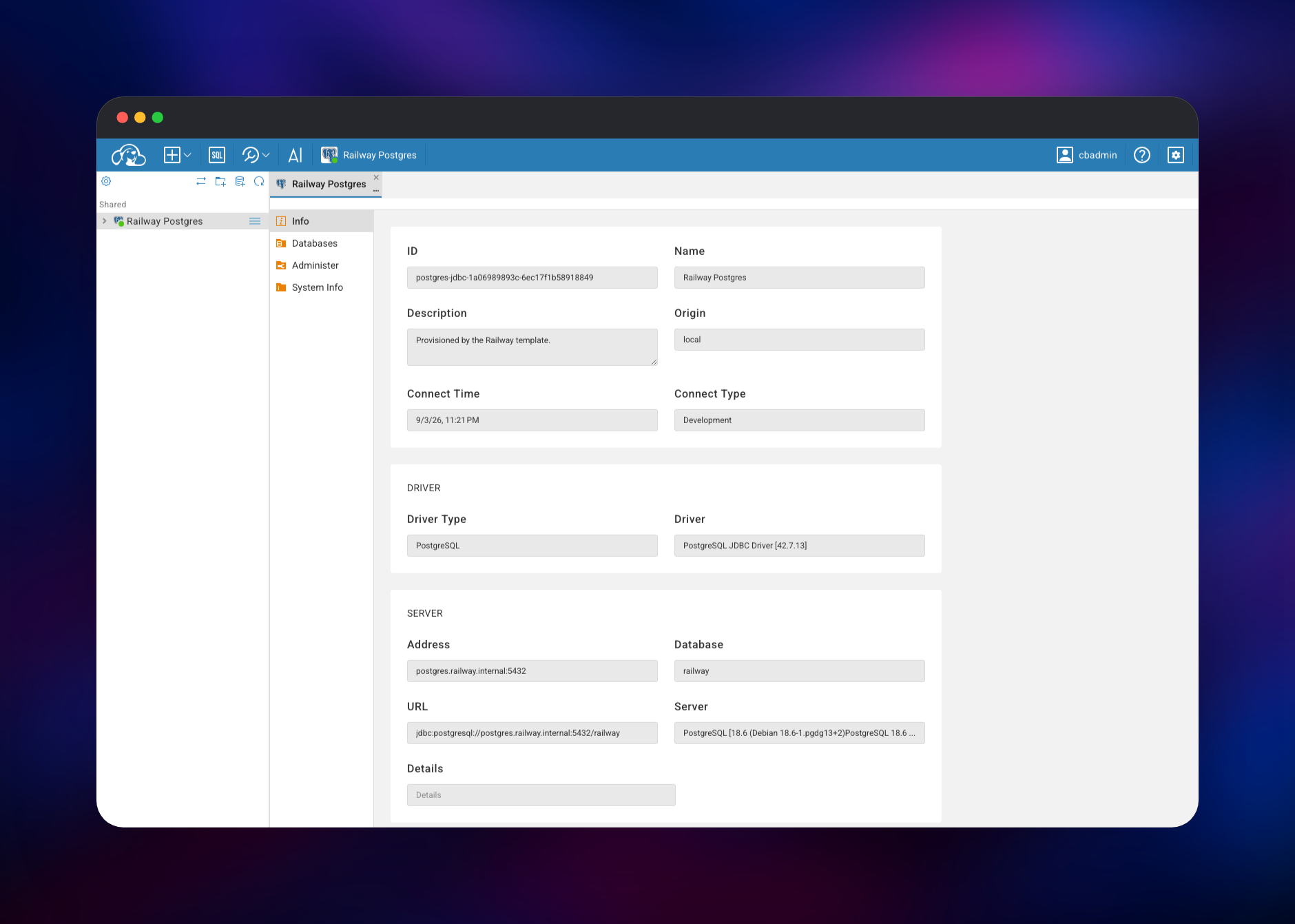 Connection details for the bundled Railway Postgres database