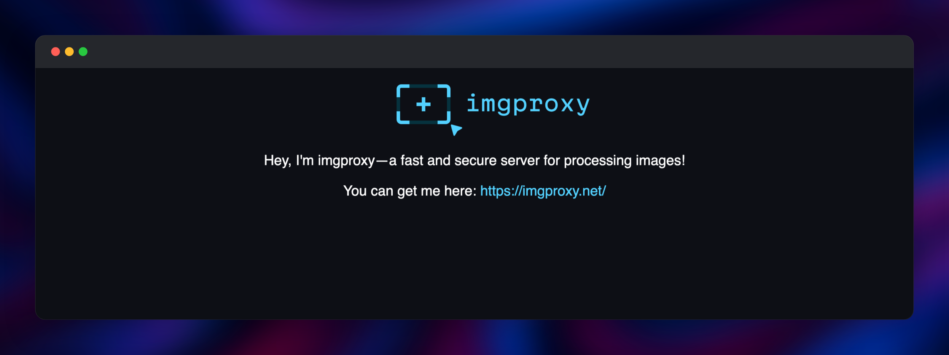 The imgproxy landing page served over the public cache domain