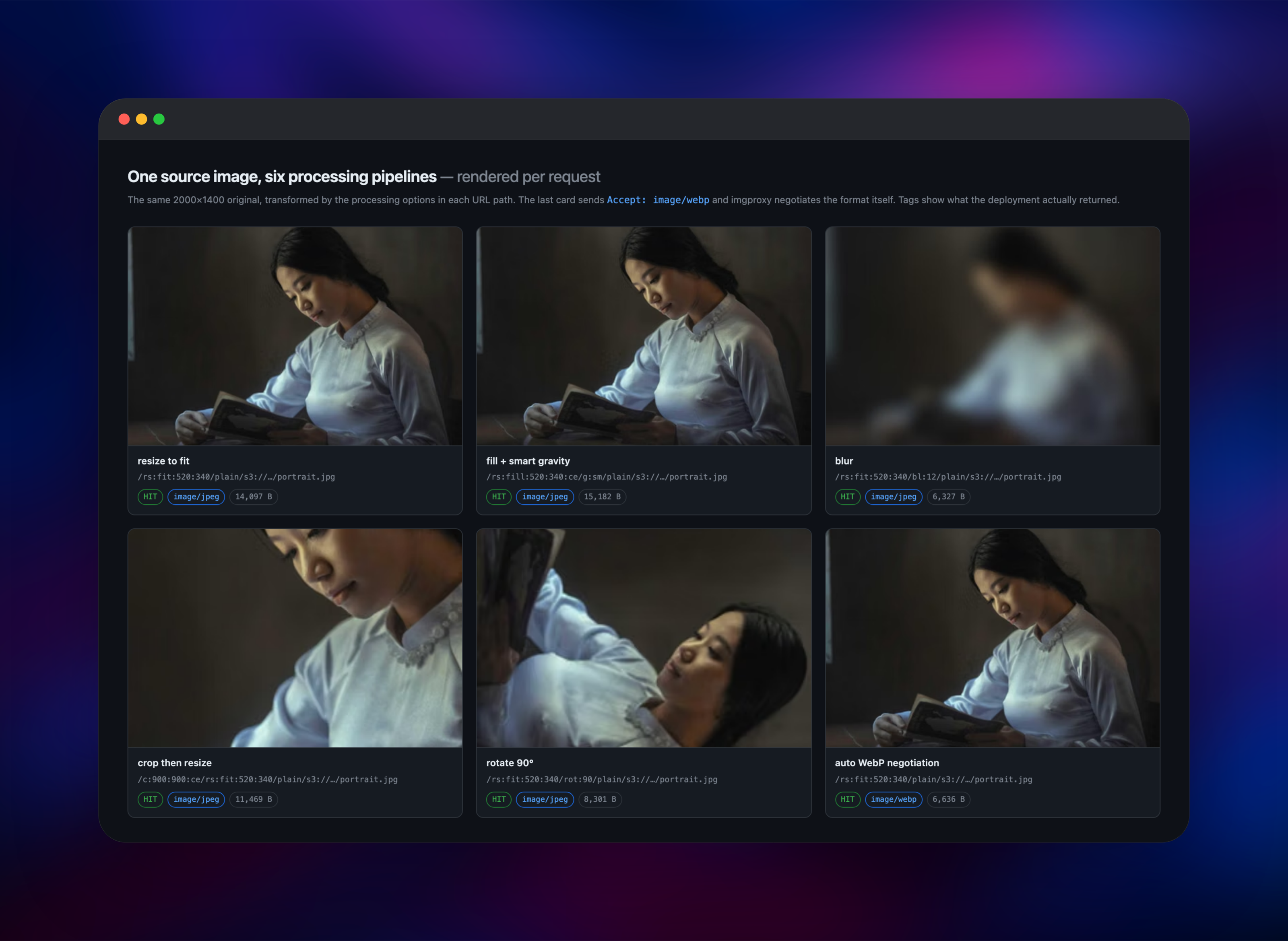 One photo through six imgproxy resize, blur and rotate pipelines