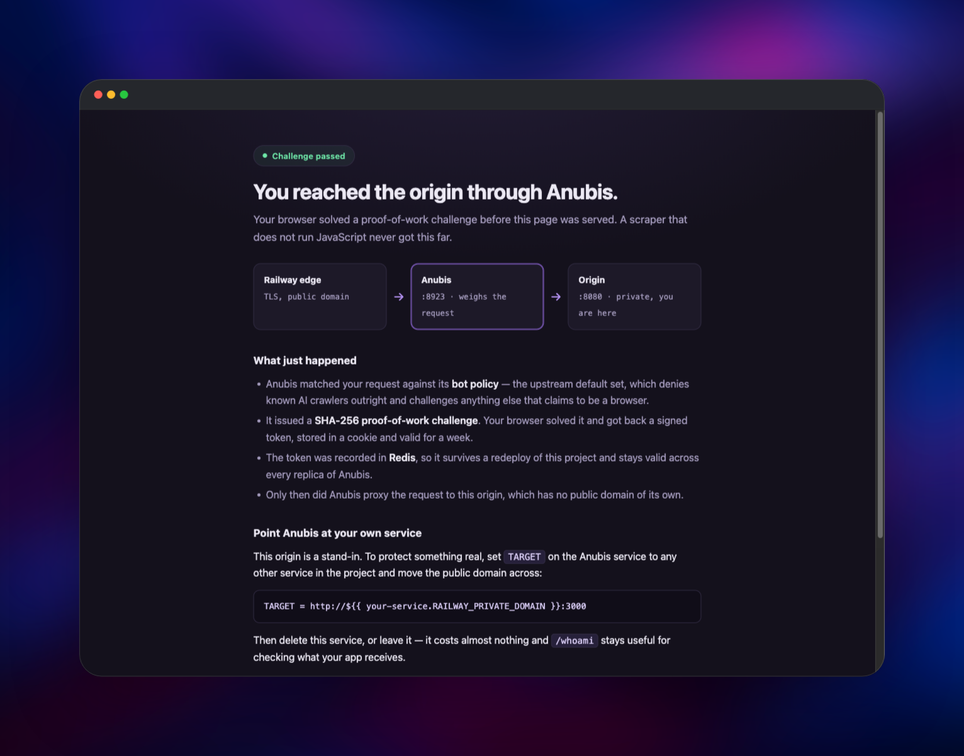 Protected origin page served after the challenge passed