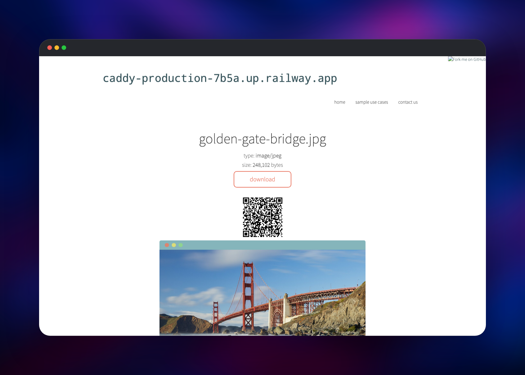 transfer.sh download page previewing a shared photograph