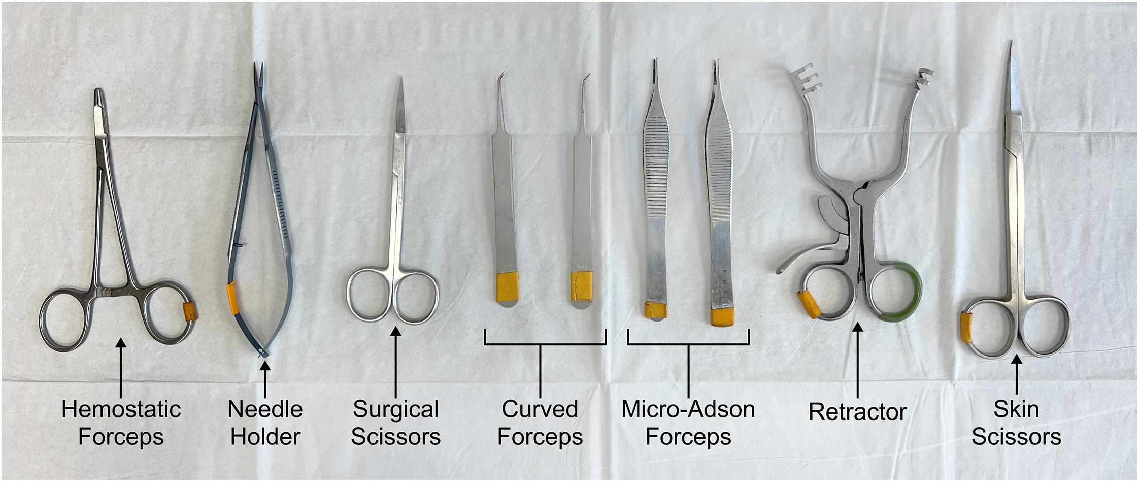 Surgical Scissor