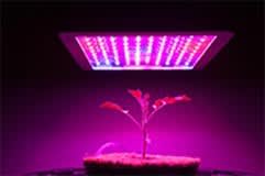 horticol_LED_7daeafff42ef9126fe5dd904b7c3a1f4f81703c8.jpg