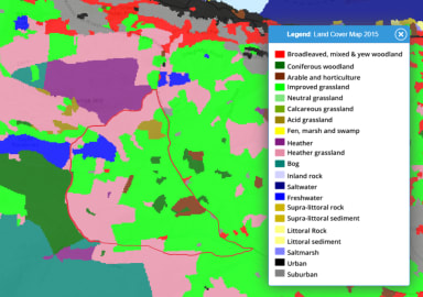 Land Cover