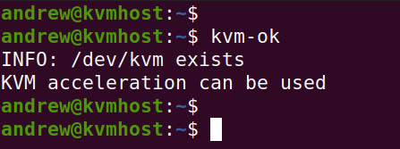 check that KVM acceleration is enabled