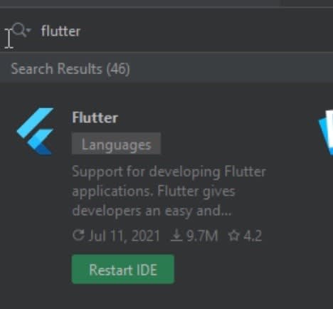 Flutter- Restart IDE screen