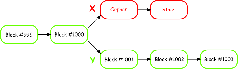 What Are Orphan Blocks and Stale Blocks? An Overview