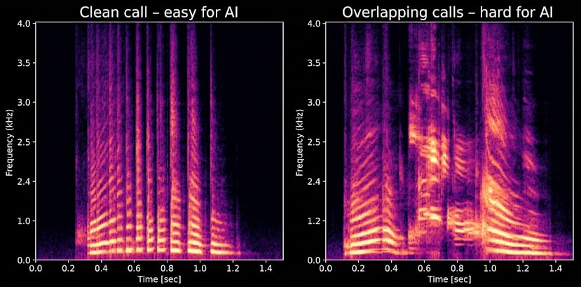 spectrograms