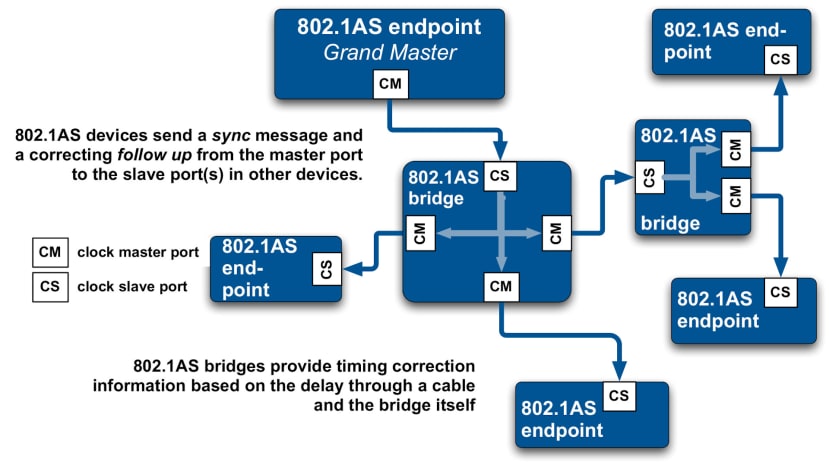 IEEE 802.1AS clocking hierarchy