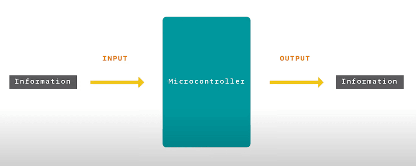 Input and Output of microcontroller