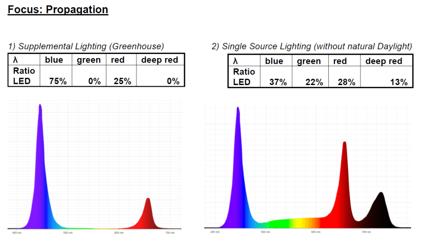 Würth Elektronik light recipe - propagation stage