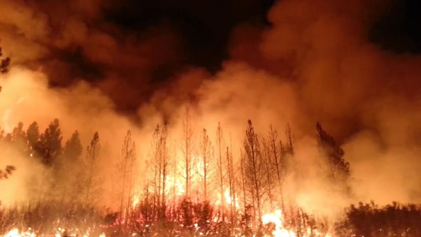 The Rim Fire in the Stanislaus National Forest - Public Domain