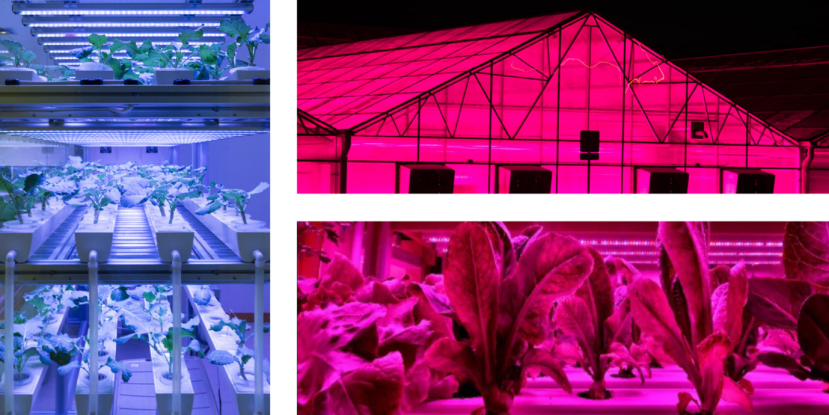 Vertical farming - Lighting