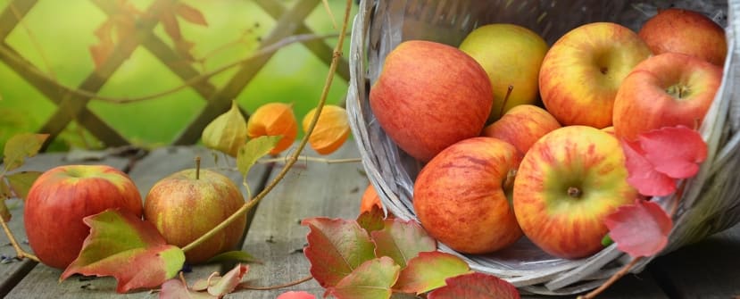 Image of apples to represent how light impacts colour