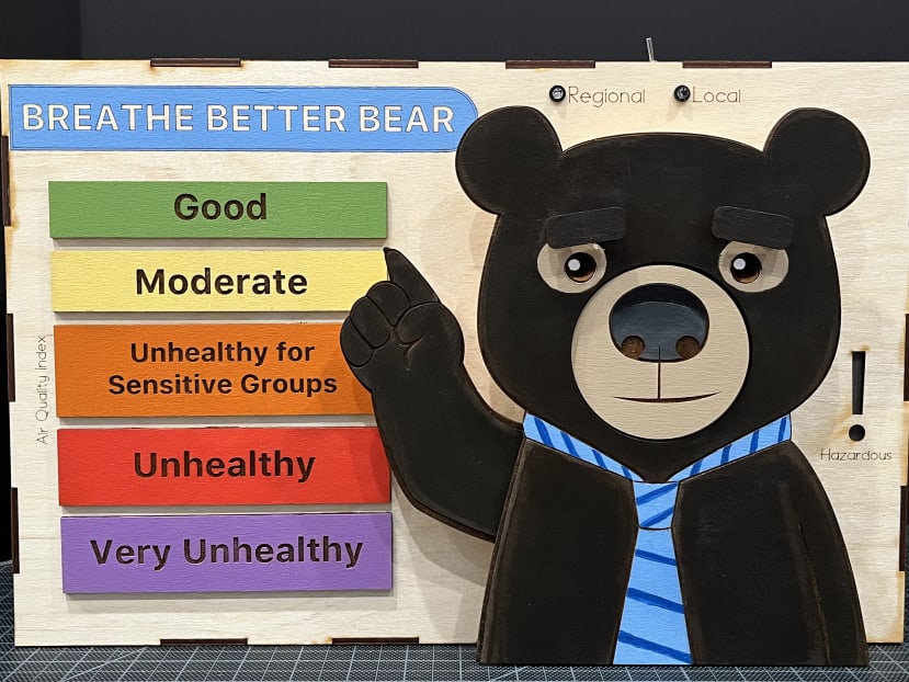 Bear finished