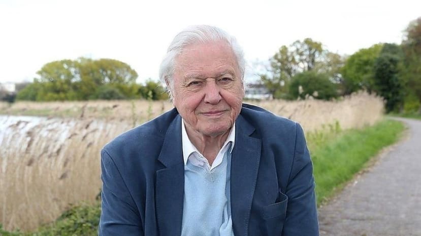 david_attenborough_61288029baba2487b8db4e42bfaf784773ecb78e.jpg