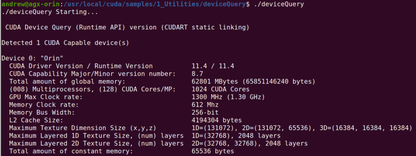 output when we run the same example on the AGX Orin