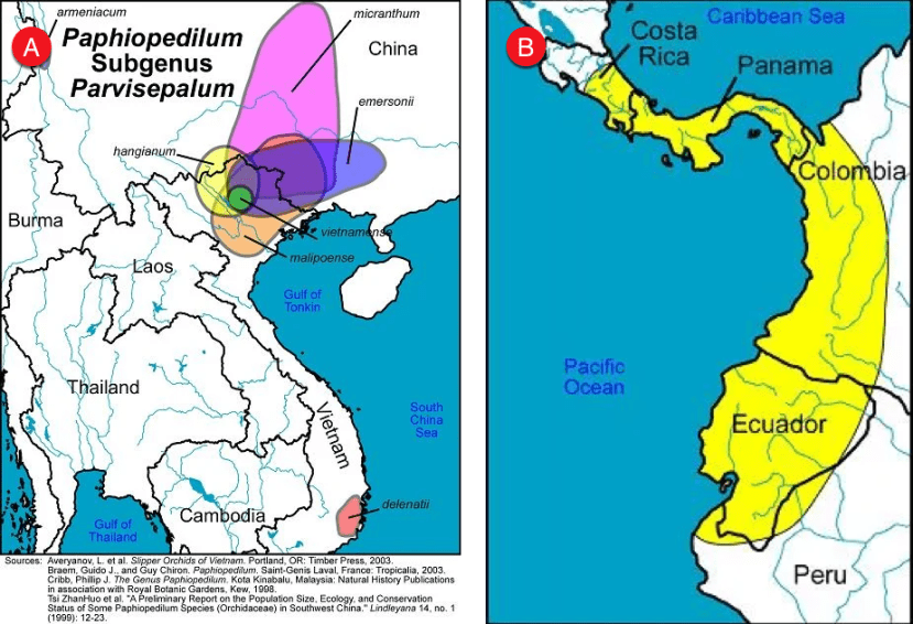 Map showing Orchid locations