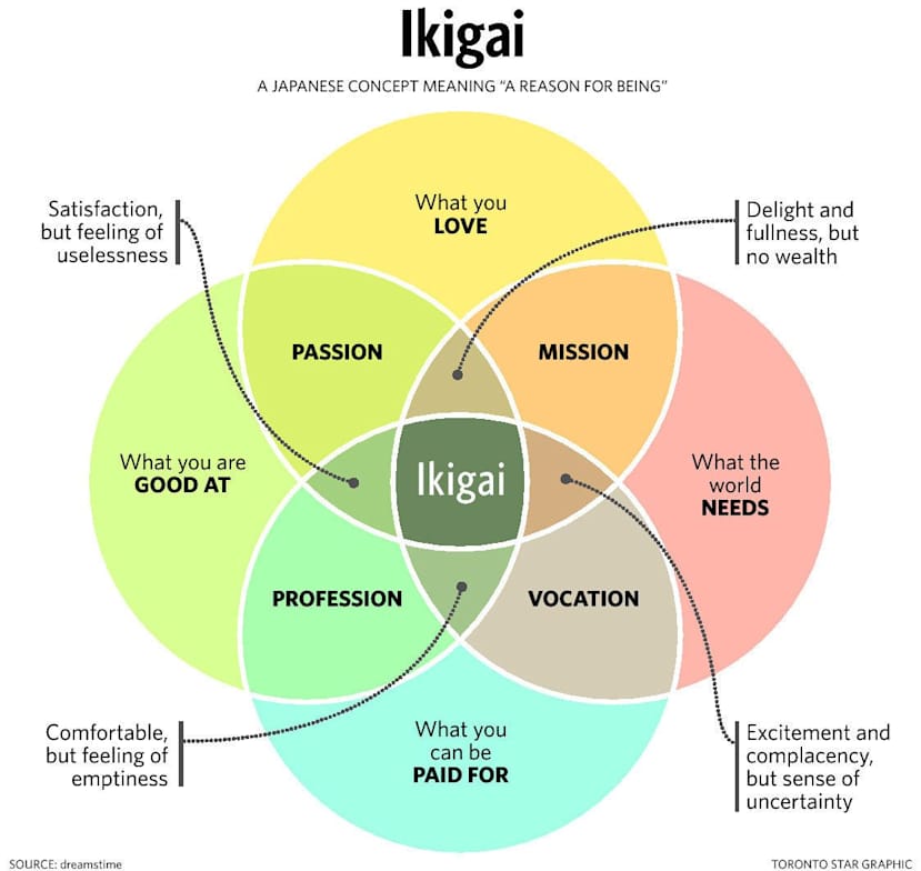 Ikigai Principles