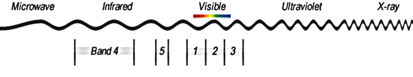 multispectral imaging