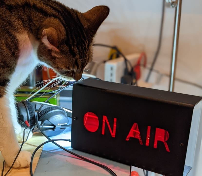 cat and an on air sign