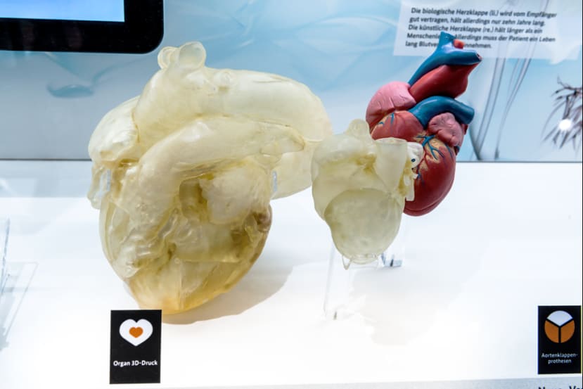 Heart - 3D Printed