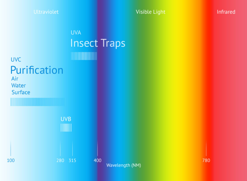 Color spectrum - UV wavelengths