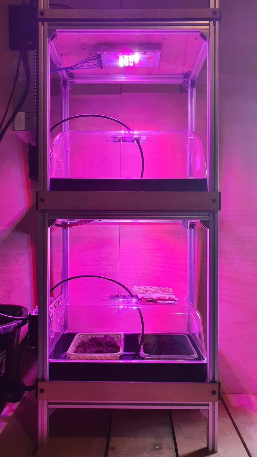 Seeds planted and lights on