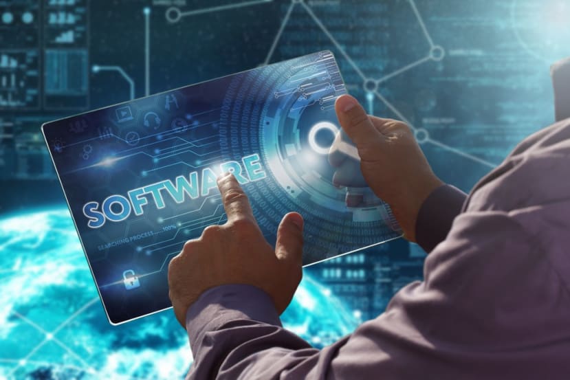 assess whether the software can be brought into service.