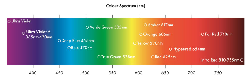 Blue light spectrum for shop plants