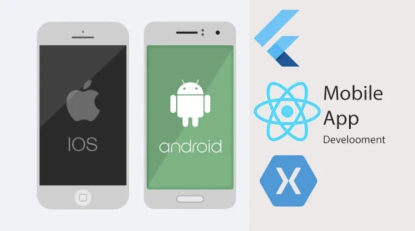 Image of phone showing IOS and android app development