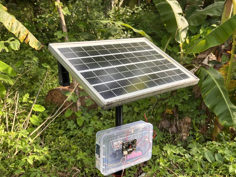Estación LoRa con panel solar en campo agrícola