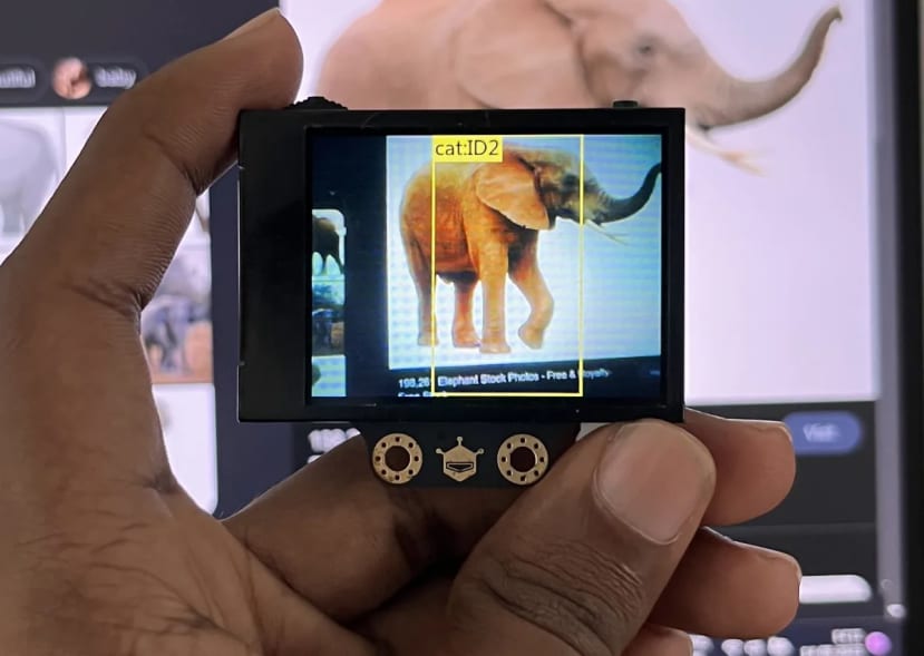 Lens Detecting Elephant