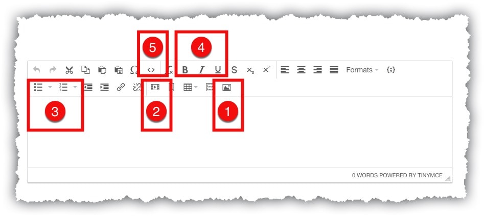 Tiny MCE Editor Buttons