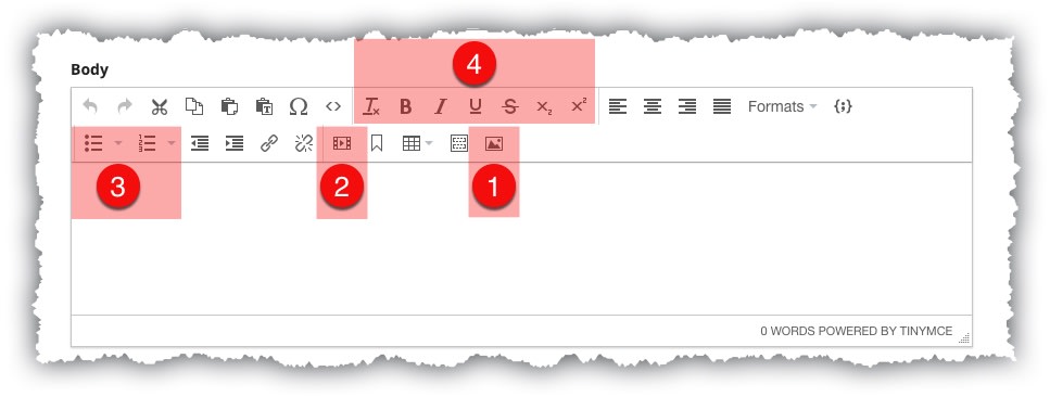 Tiny MCE Editor Buttons