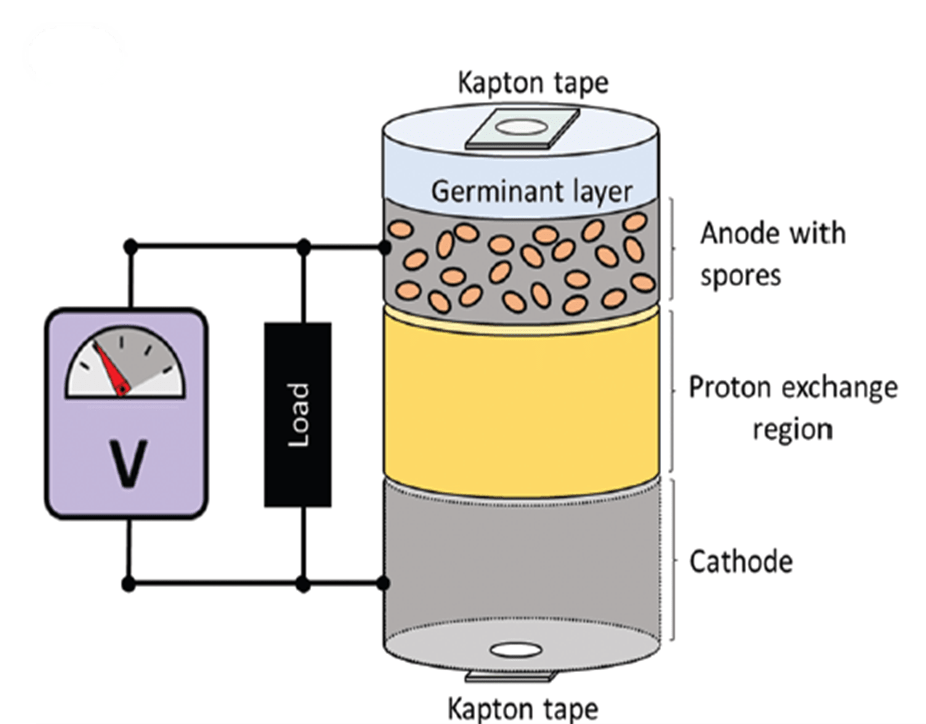 Battery Design