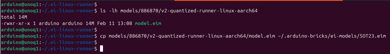 quantized runner