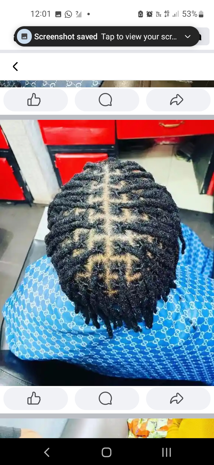 Dreadlocks twist and lock with style 
